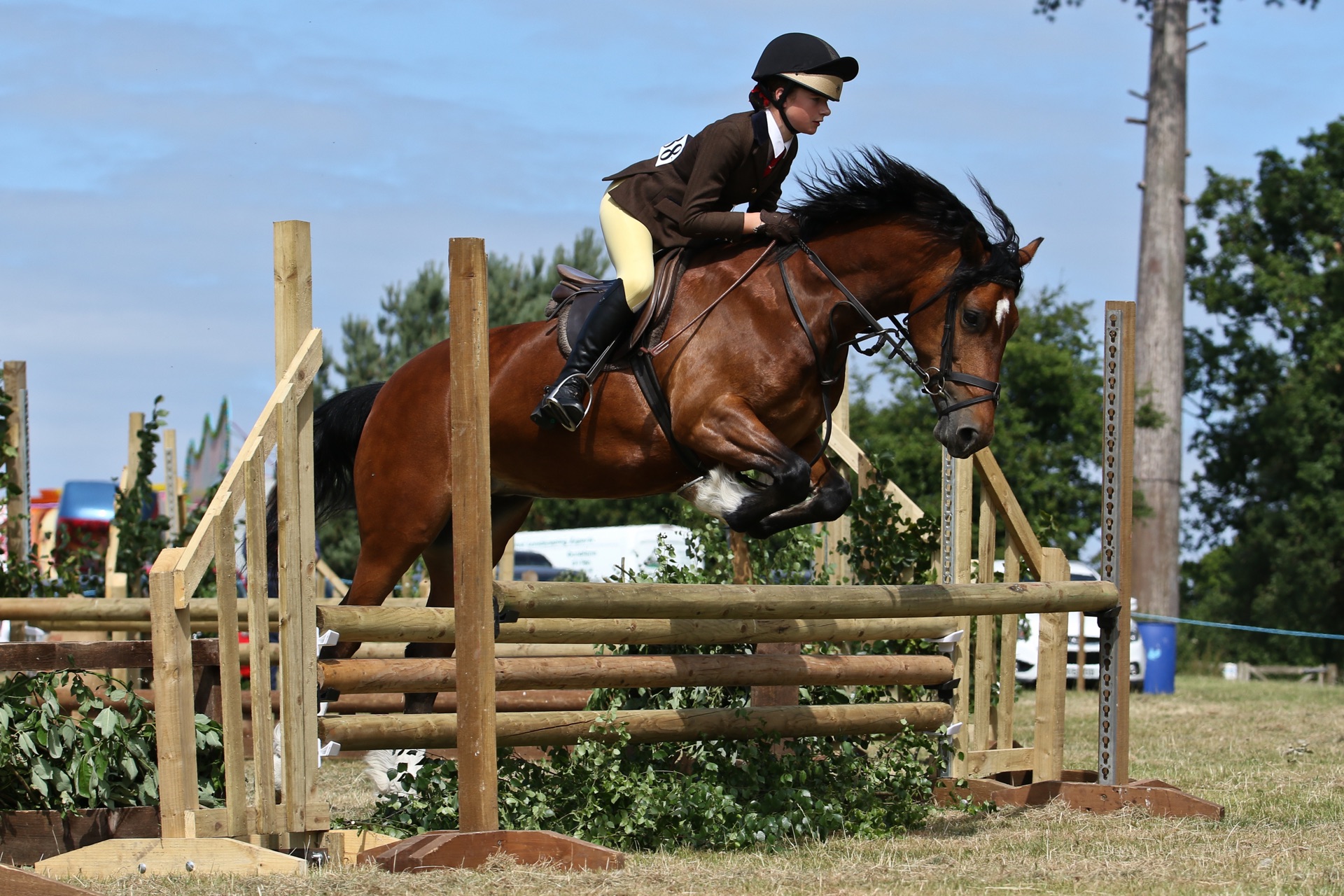 All classes of equestrian events