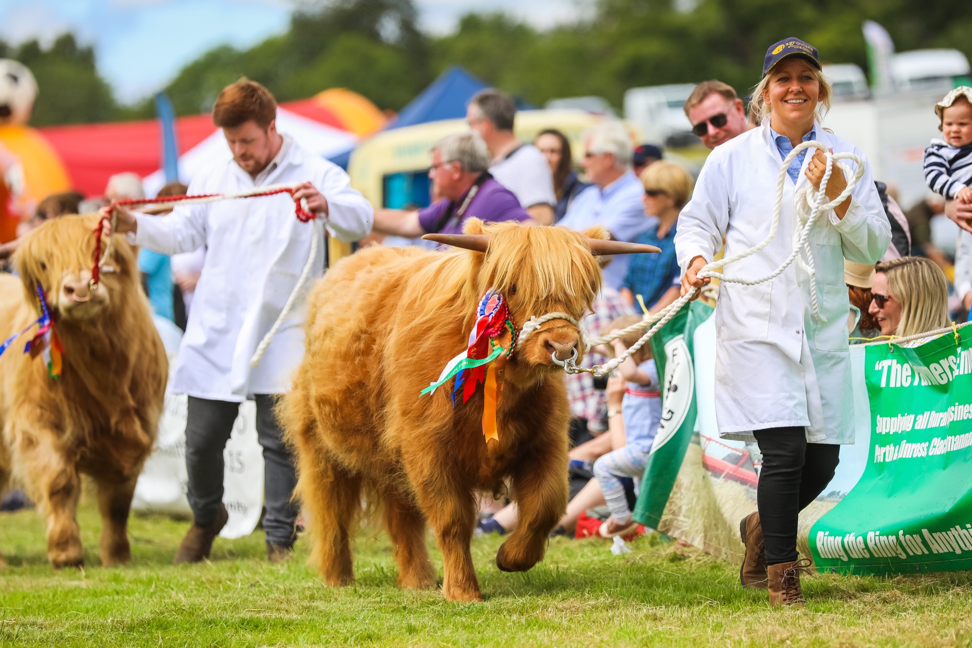 Happy hairy Highlanders