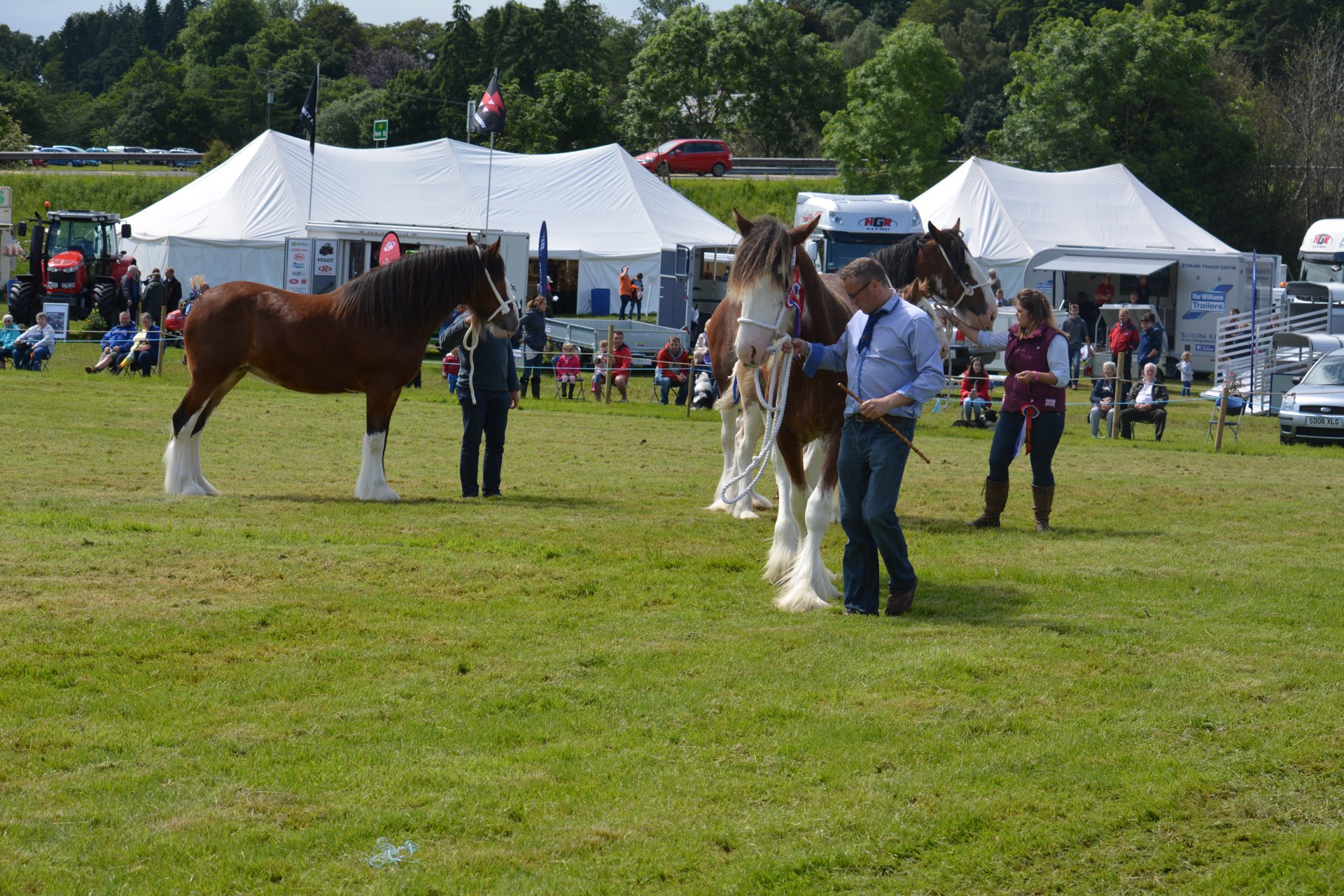 Heavy horses and carriage driving in the main ring