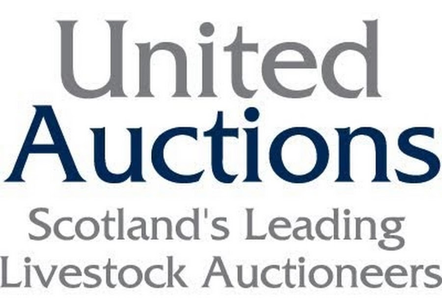 United Auctions logo